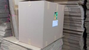 20160723 154048 resized 1