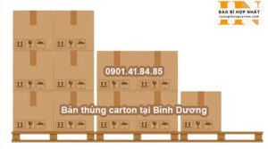 Bán thùng carton tại Bình Dương