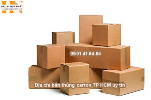 Địa chỉ bán thùng carton TP HCM