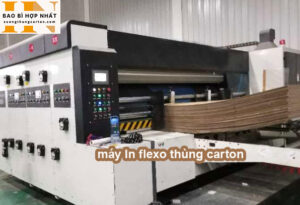 máy in flexo thùng carton