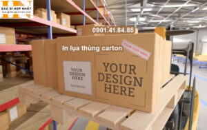 In lụa thùng carton