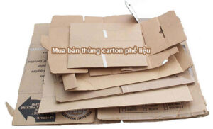 Mua bán thùng carton phế liệu