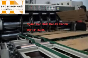Ngành Sản Xuất Bao Bì Carton