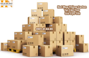 Nơi Mua Thùng Carton Tại Cần Thơ Giá Cực Tốt