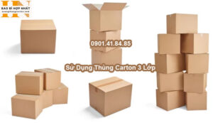 Sử Dụng Thùng Carton 3 Lớp
