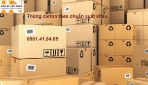 Thùng carton theo chuẩn xuất khẩu