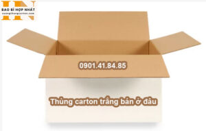 Thùng carton trắng bán ở đâu