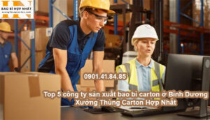 Top 5 công ty sản xuất bao bì carton ở Bình Dương