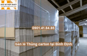 bán lẻ Thùng carton tại Bình Định