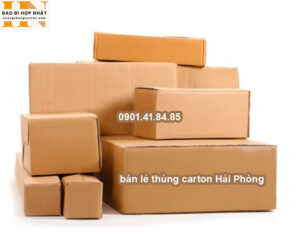 bán lẻ thùng carton Hải Phòng