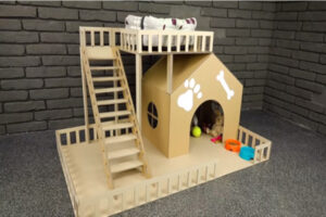 lam nha cho cho bang thung giay 6