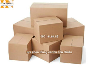 lựa chọn thùng carton tiêu chuẩn