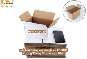 nơi bán thùng carton giá rẻ TP HCM