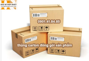 thùng carton đóng gói sản phẩm