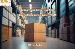 Xưởng thùng carton giá rẻ TPHCM