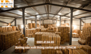 Xưởng sản xuất thùng carton giá rẻ tại TPHCM