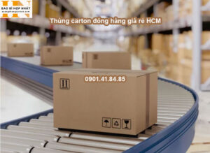 Thùng carton đóng hàng giá rẻ HCM