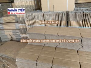 làm thùng carton ship COD TPHCM