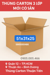 Thùng Carton 3 Lớp 51x31x25
